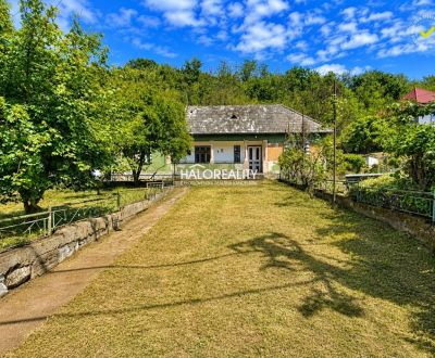 Sale Family house, Levice, Slovakia