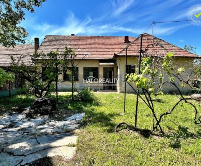 Sale Family house, Levice, Slovakia
