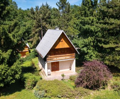 Sale Cottage, Cottage, Potočná, Trenčín, Slovakia