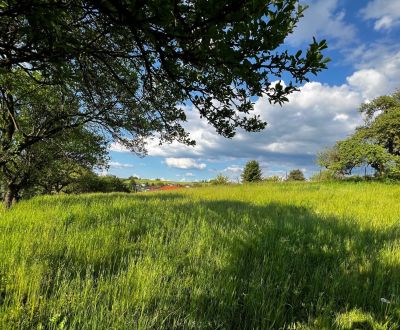 Sale Land – for living, Land – for living, Žilina, Slovakia