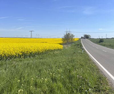 Sale Agrarian and forest land, Agrarian and forest land, Trnava, Slova