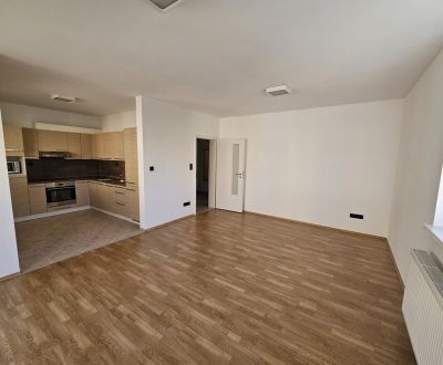 Rent One bedroom apartment, One bedroom apartment, Bulharská, Žilina, 