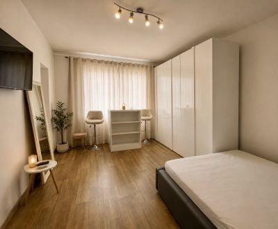 Sale Studio, Studio, Závodská cesta, Žilina, Slovakia