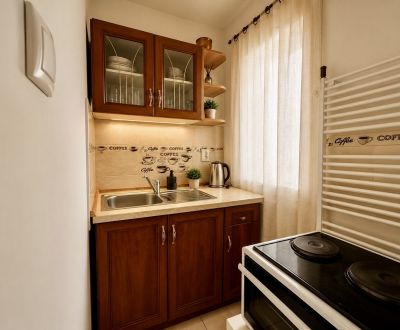 Rent Single studio, Single studio, Závodská cesta, Žilina, Slovakia