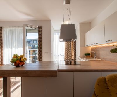 Sale One bedroom apartment, One bedroom apartment, Bajkalská, Bratisla