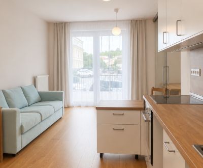 Rent One bedroom apartment, One bedroom apartment, Skuteckého,, Banská