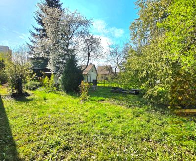 Sale Gardens, Gardens, Ulica 1. mája, Košice - Krásna, Slovakia