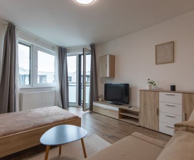 Bright 1-room apartment with parking, Old Town