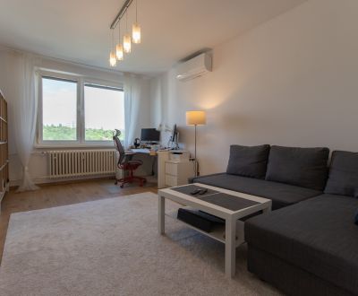 Renovated 1-bedroom apartment with loggia, Karlova Ves