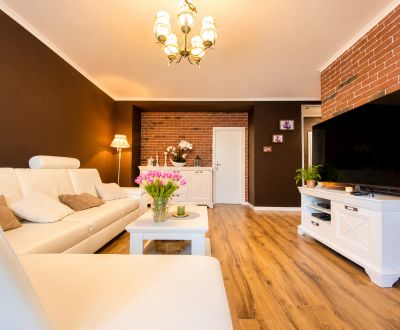Rent One bedroom apartment, One bedroom apartment, Alešovo nábrežie, K