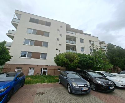 Rent Single studio, Single studio, Športová, Senec, Slovakia