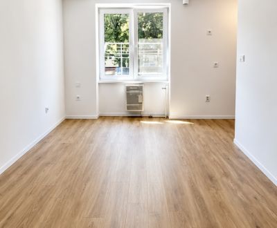 Sale Single studio, Single studio, Školska, Dunajská Streda, Slovakia
