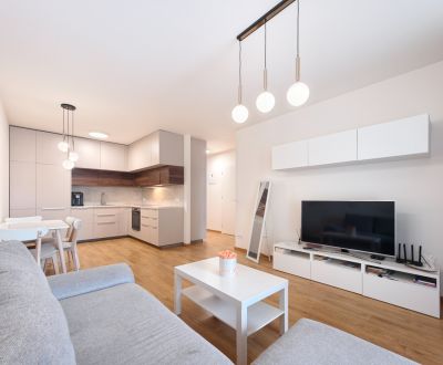 Rent One bedroom apartment, One bedroom apartment, Alvinczyho, Košice 