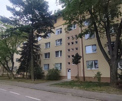 Sale Three bedroom apartment, Three bedroom apartment, Exnárova, Brati