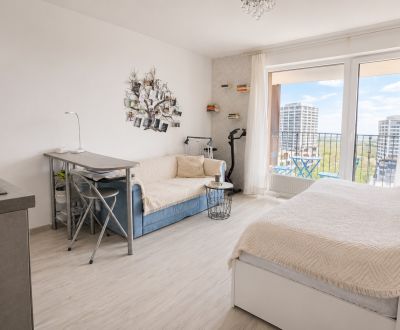 Sale Studio, Studio, Zuzany Chalupovej, Bratislava - Petržalka, Slovak