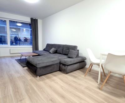 Rent One bedroom apartment, One bedroom apartment, Fialová, Bratislava