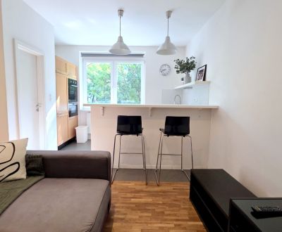 Rent One bedroom apartment, One bedroom apartment, Trenčianska, Bratis