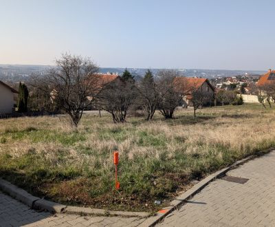 Sale Land – for living, Land – for living, Višnová, Nitra, Slovakia