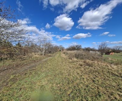 Sale Land – for living, Land – for living, Športová, Senec, Slovakia