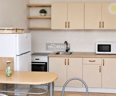 Sale Single studio, Levice, Slovakia