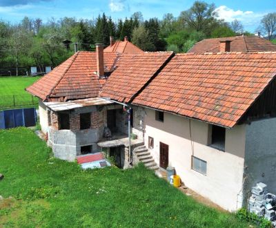 Sale Family house, Family house, Nová, Žiar nad Hronom, Slovakia