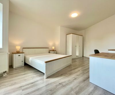 Rent One bedroom apartment, One bedroom apartment, Olbrachtova, Trenčí