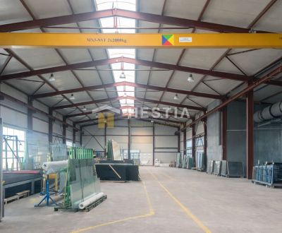 Sale Production premises, Production premises, Galanta, Slovakia