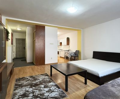 Rent One bedroom apartment, One bedroom apartment, Šancová, Bratislava