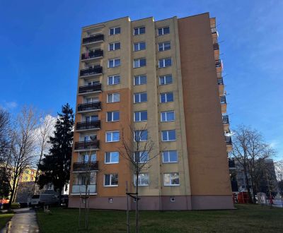 Rent Single studio, Single studio, Štiavnická cesta, Ružomberok, Slova
