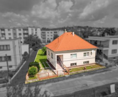 Sale Family house, Family house, Rybníky, Trenčín, Slovakia