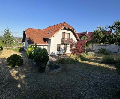 Sale Family house, Family house, Agátová, Levice, Slovakia