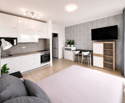 Sale Single studio, Single studio, Krásnohorská, Bratislava - Petržalk