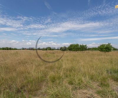 Sale Land – for living, Land – for living, Muškátová, Malacky, Slovaki