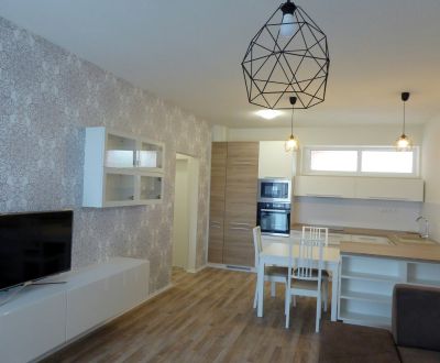 Rent One bedroom apartment, One bedroom apartment, Nad Plážou, Banská 