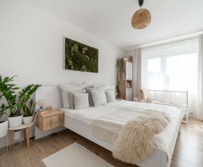 Sale One bedroom apartment, One bedroom apartment, Armádna, Trenčín, S