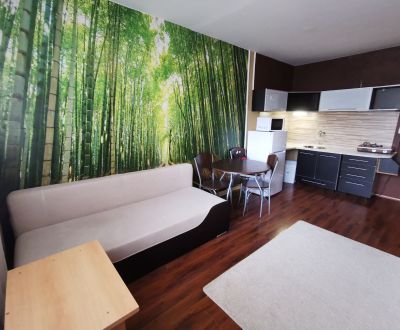 Rent Single studio, Single studio, B. Němcovej, Nové Zámky, Slovakia