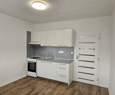 Sale Single studio, Single studio, Nešporova, Šaľa, Slovakia