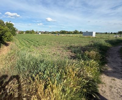 Sale Land – for living, Land – for living, Dudvážska, Piešťany, Slovak