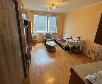Sale Single studio, Single studio, Novomeského, Nitra, Slovakia