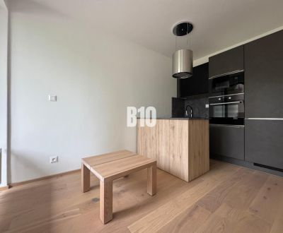 Sale One bedroom apartment, One bedroom apartment, M. R. Štefánika, Ži