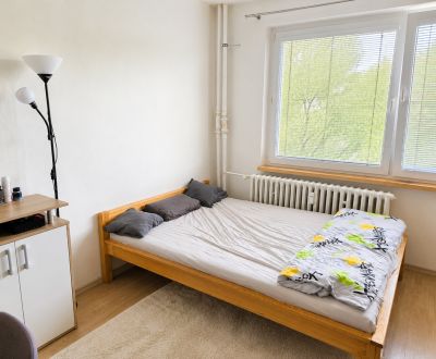 Rent Single studio, Single studio, Trnavská, Žilina, Slovakia