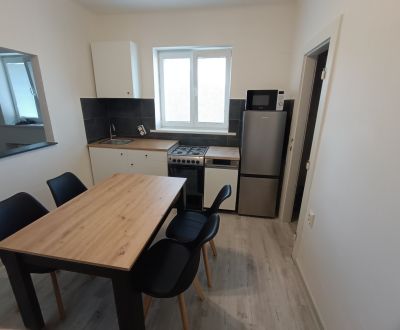 Stylish renovated 1-bedroom apartment, New Town