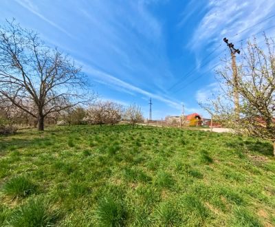 Sale Land plots - commercial, Land plots - commercial, Korytovská, Nit