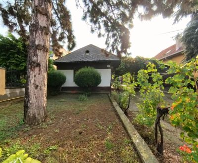Sale Family house, Family house, Hlavná, Nitra, Slovakia