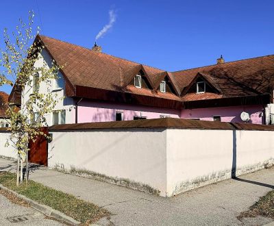 Sale Hotels and pensions, Hotels and pensions, Brezová, Dunajská Stred