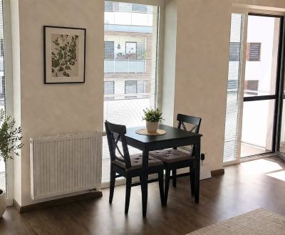 Sale Studio, Studio, Pri Vápenickom potoku, Bratislava - Záhorská Byst