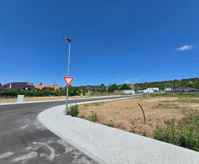 Sale Land – for living, Land – for living, Pánska niva, Hlohovec, Slov