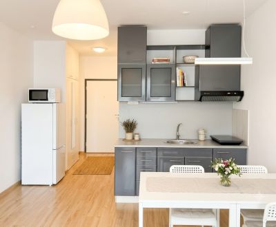 Rent Single studio, Single studio, Zuzany Chalupovej, Bratislava - Pet