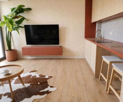 Rent Single studio, Single studio, Cesta k Smrečine, Banská Bystrica, 