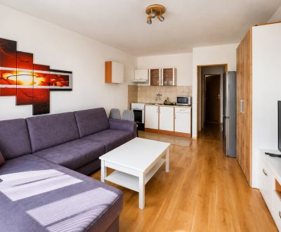Rent Single studio, Single studio, Stodolova, Liptovský Mikuláš, Slova